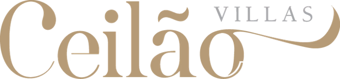 Lime & Co Logo